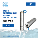 DQM6-125T Submersible Motor